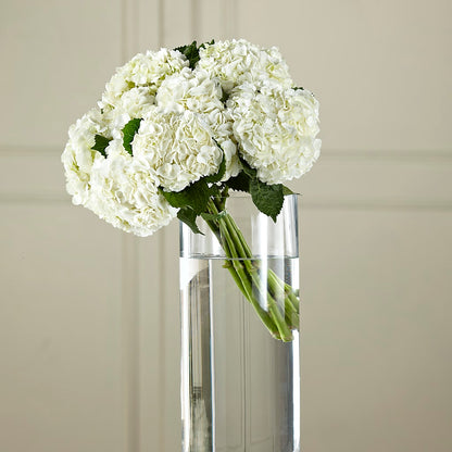 White Hydrangea Hand-Tied Bouquet –  Abc Florist, Mullens WV