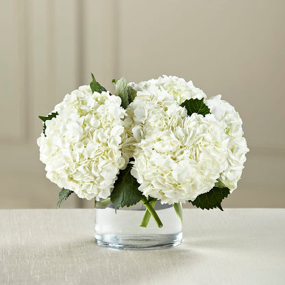 White Hydrangea Bouquet –  Abc Florist, Mullens WV