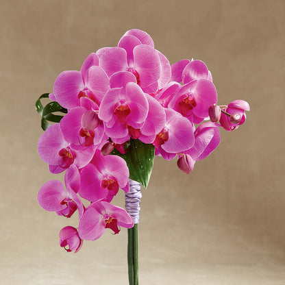 Glorious Bouquet –  Abc Florist, Mullens WV