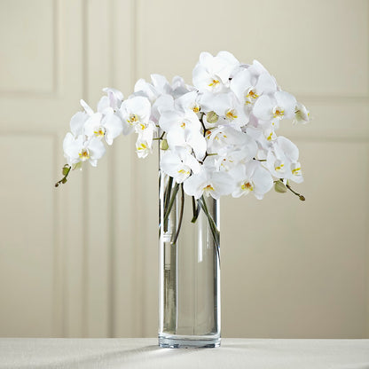 White Phalaenopsis Bouquet –  Abc Florist, Mullens WV